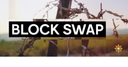 aescripts Block Swap v1.0 Win Crack Download