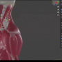 3D Anatomy Sculpting in Blender human figure Course Download