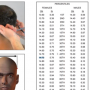 Outgang | Anthropometry and Observation Course Download