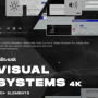 blindusk VISUAL SYSTEMS Crack Complete Download