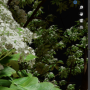 Blender - The Grove 11 + 3 Twigs Asset Crack Download