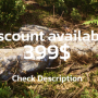 RB - RealBiomes Scots Pine Forest Biome - Trees, Landscape, Pine Forest, Grass Crack Download 2023