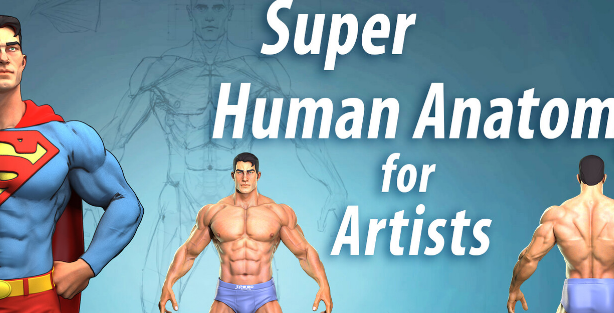 Super Human Anatomy for Artists Course FREE Download