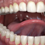 Blender Teeth and Tongue Set Low poly 3D Model Crack Download