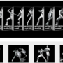 Reallusion RPG Fighting Animations BUNDLE Crack 2023 Download