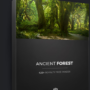Photobash - Complete ANCIENT FOREST Crack Download