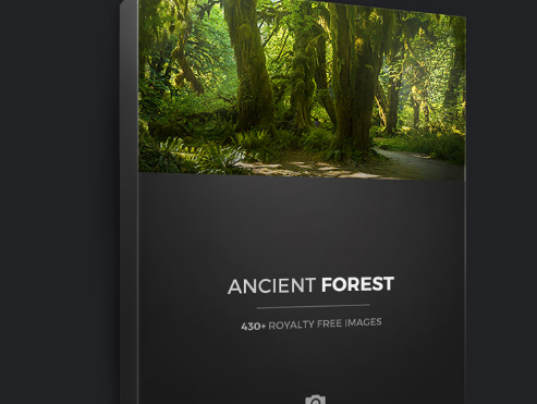 Photobash - Complete ANCIENT FOREST Crack Download