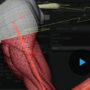 Gnomon Workshop - Introduction to Ziva VFX 1 Course 2023 Download