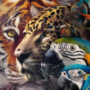 King's Adobe Photoshop v25.0 Crack 2023 Update Download