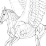 class101 - Animal Anatomy to Draw Realistic Animals Course 2023 Free Download
