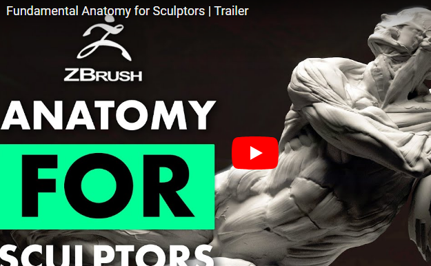 FlippedNormals – Fundamental Anatomy for Sculptors FREE Download
