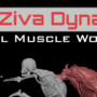 CGcircuit - Mastering Ziva Dynamics Complete Course 2023 Fast Download