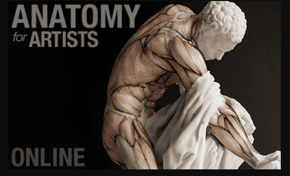 Scott Eatons Anatomy for Artists Course 2024 Full Download