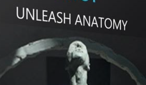 Ryan Kingslien’s Uartsy – Unleash Anatomy Course Free Download