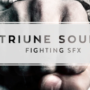 Triunedigital - FIGHTING SFX Complete Crack 2024 Fast Download