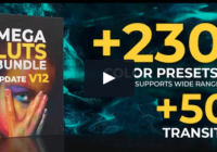 Mega LUTs and Transitions Bundle Crack 2024 Download