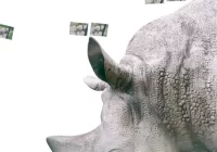 Sparrow's 3DF Zephyr v8.037 Cracked Download