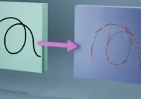 Blender Free Addons - Grease Pencil to Curves v0.1.2 Download