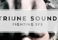 triunedigital- FIGHTING SFX Collection CRACK Easy Download