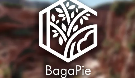 BagaPie v10.4.13 ALL Assets Cracked Blender 4.3 Download