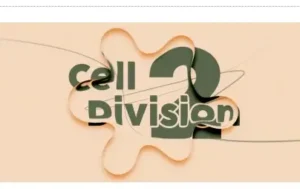 Cell Division 2 (aescripts) Crack 2025 Download