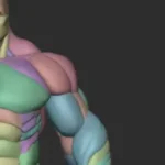 Gumroad Hulky Anatomy Blockout Cracked Free Download
