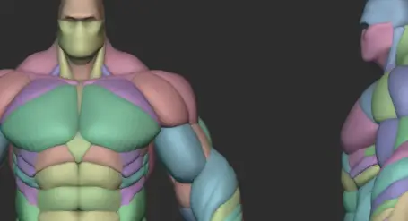 Gumroad Hulky Anatomy Blockout Cracked Free Download