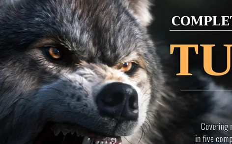 Blender Animal Full Tutorial (Vfx Grace) Free Download