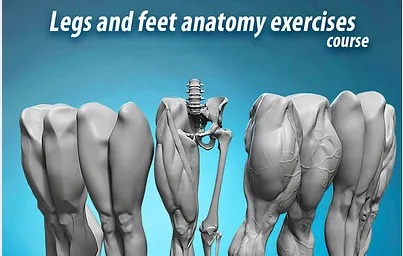 Udemy Legs and feet anatomy exercises Course Course Download