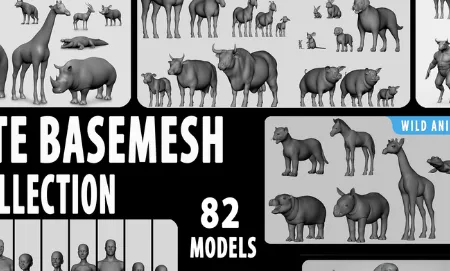 Ultimate Basemesh Collection Crack ( Blender 4) Download
