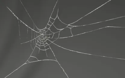 Unreal Engine 5.5 MAE Cobweb Collection 01 Crack Download