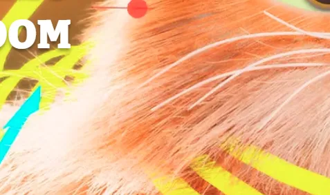 CONTROL RIG FUR GROOM Course Free Download