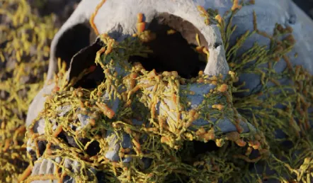 Procedural Fungus Growth v1 Crack (Blender 4) Download