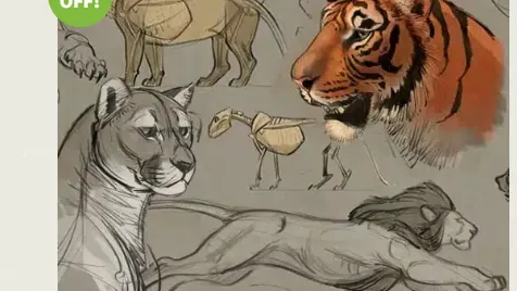 creatureartteacher - How to Draw Animals Course – Big Cats Complete Course Free Download