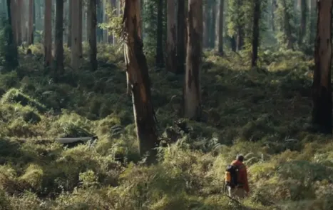 nodemill - LensNode v1.0.2 Crack OFX 2025 Download