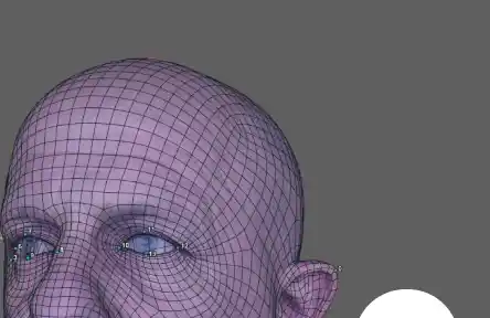 Latest Faceform Wrap 2025.10.8 Crack November Update Download