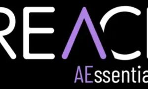 aescripts REACH AEssential Kit v2.1.19 Crack 2025 Download