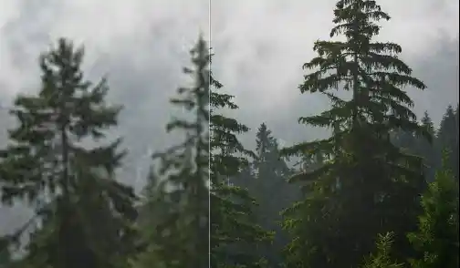 Sparrow's Topaz Gigapixel Pro v1.0.4 Crack MAC Download