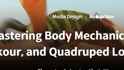 Mastering Body Mechanics Combat Coloso Course Free Download