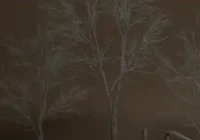 Unreal Engine 5.3+ Foliage VOL.26 Dead Birch Trees Low Poly Download