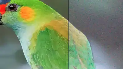 Updated version Topaz Photo v1.2 Cracked Download