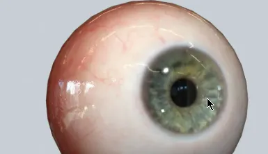 Alex Lashko - Eyeball 3D Model Crack Download