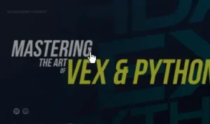 Doublejump - Houdini Python VEX Course Week 1 Download