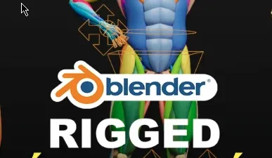 Muscle Anatomy - Ecorche Rigged Crack (Blender)