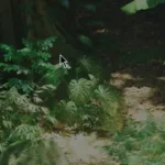 Rain Forest Pack v1.2 Unreal Engine 5.7 Crack