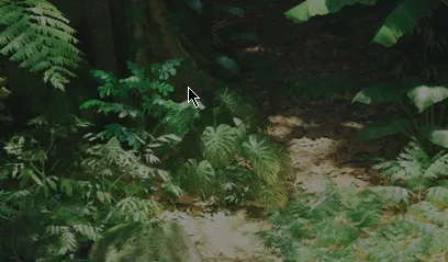 Rain Forest Pack v1.2 Unreal Engine 5.7 Crack