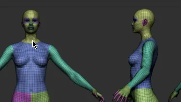 Zbrush - Average Body Lowpoly Basemesh Set FBX OBJ Download