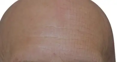 3dscanstore 3D Head Model Male Head Scan Crack Download 2026