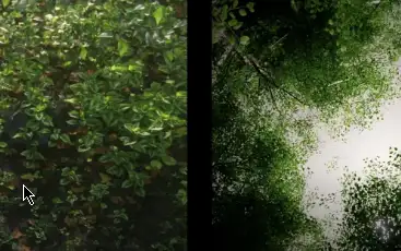 Blender 5 - Forest Generator Free Animated Biomes Download