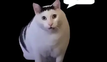 Blender Creative Flow v1.9.2 Crack March 2025 Download